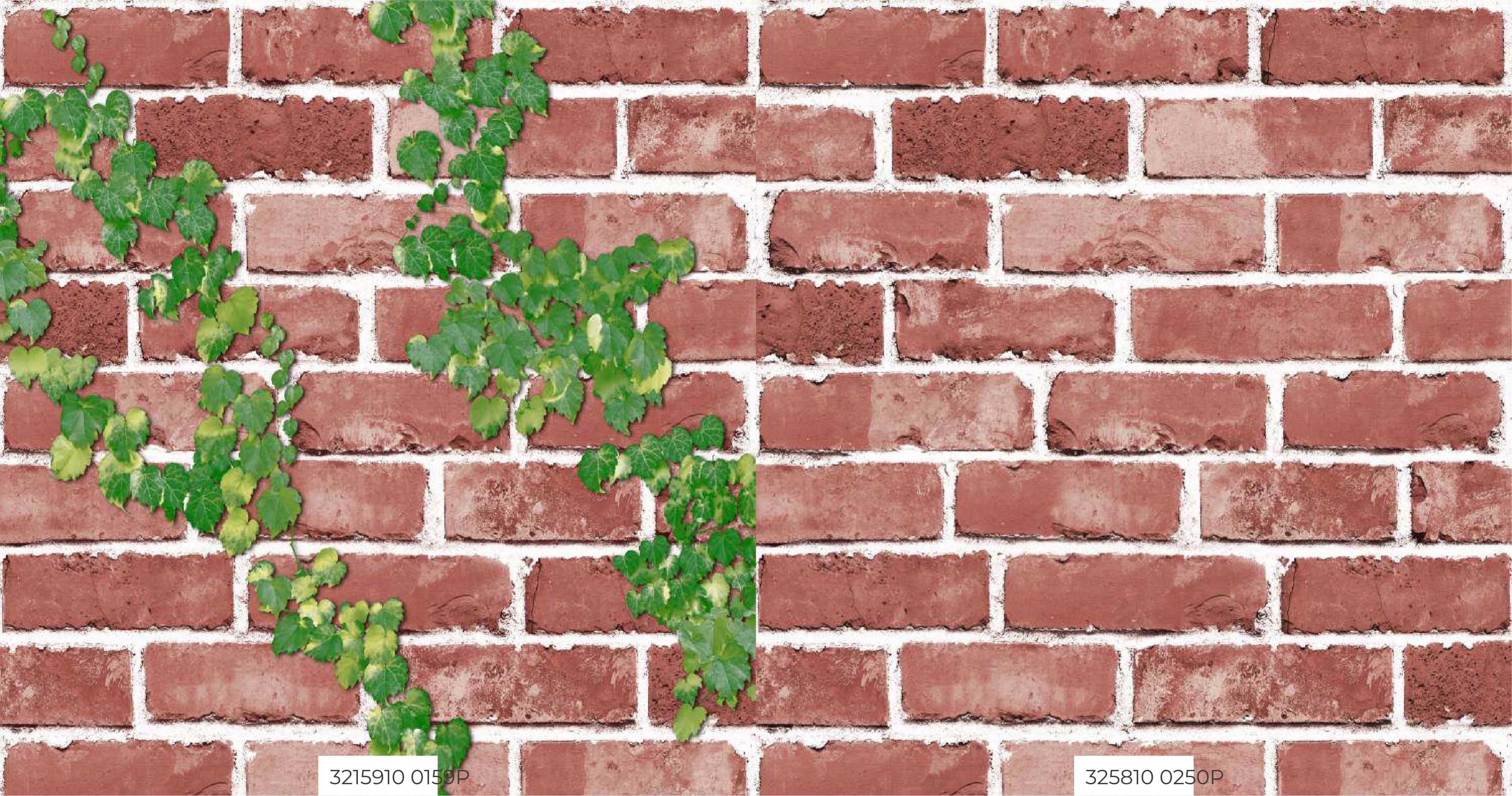 Room Wallpapers