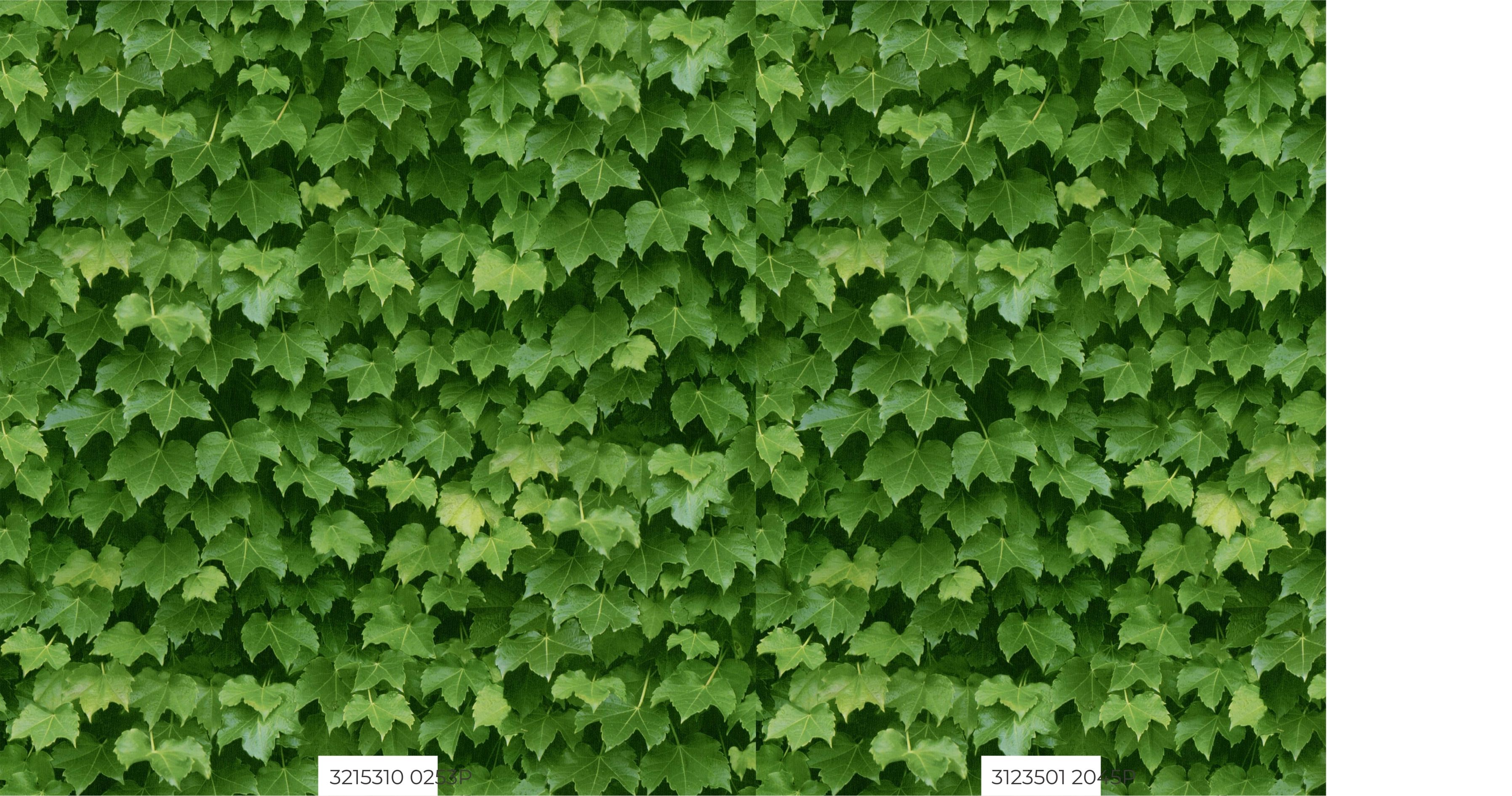 Room Wallpapers
