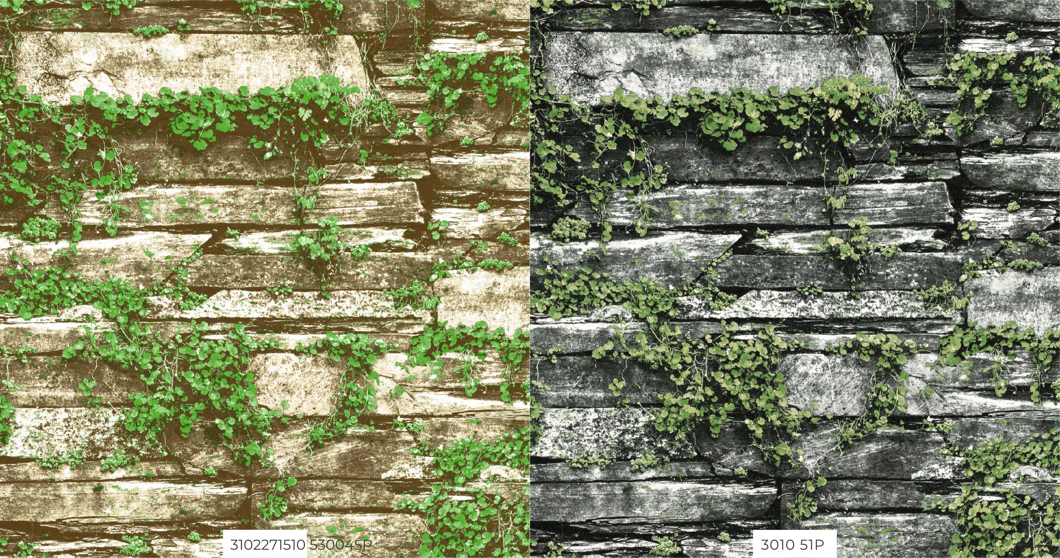 Room Wallpapers