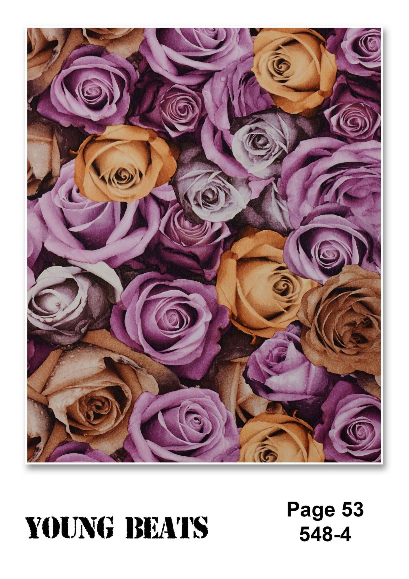Room Wallpapers